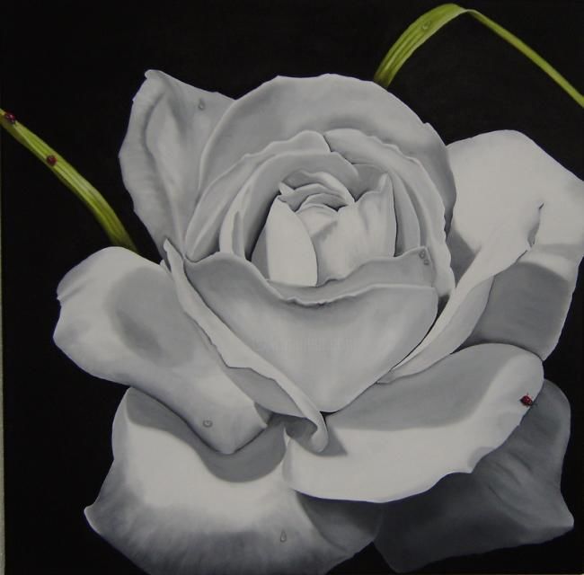 Painting titled "White rose - Pintur…" by Faithartes, Original Artwork
