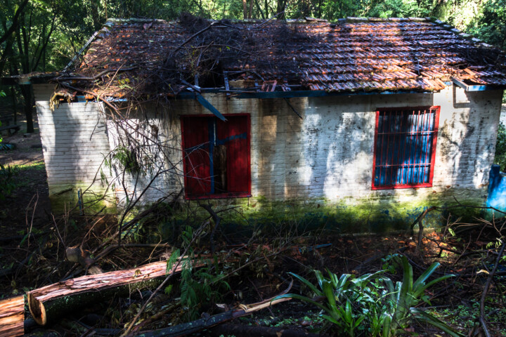 Fotografia zatytułowany „abandono.” autorstwa Nino Rocha Fotografia, Oryginalna praca, Fotografia cyfrowa