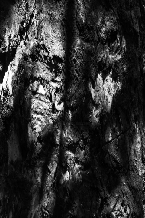 Fotografia intitolato "faces- pareidolia." da Nino Rocha Fotografia, Opera d'arte originale, Fotografia digitale