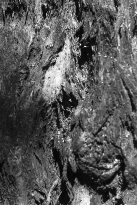 Fotografía titulada "cabrunco." por Nino Rocha Fotografia, Obra de arte original, Fotografía digital