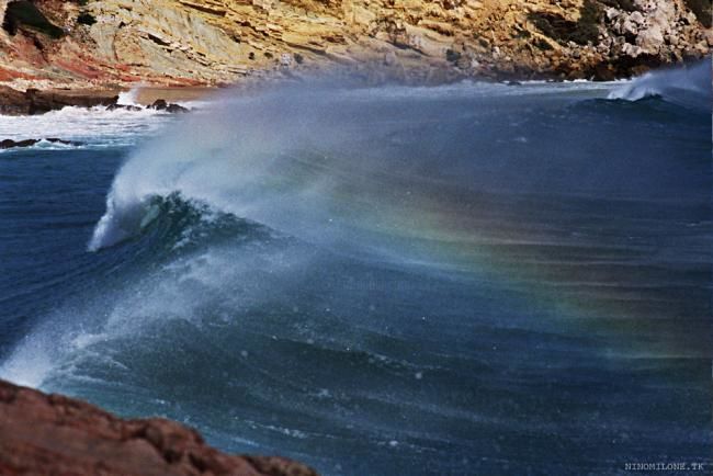 Fotografía titulada "Rainbow Dolphine" por Ninomilone.Tk, Obra de arte original