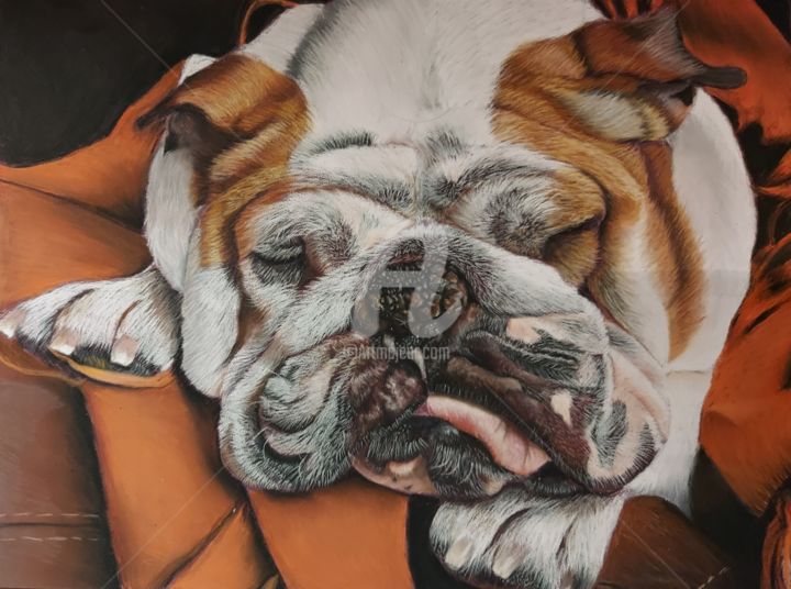 Drawing titled "Bulldog anglais" by Ninon Cobergh, Original Art, Pastel