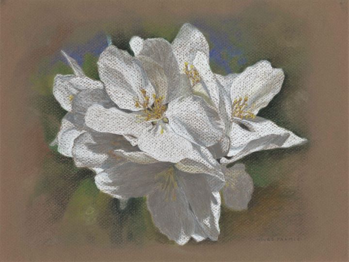 Drawing titled "SPRING BLOSSOMS" by Nives Palmić, Original Artwork, Pastel