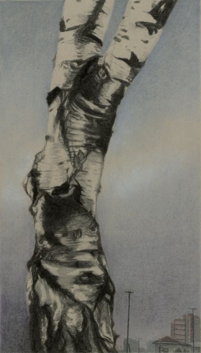 Drawing titled "BIRCH BODY II (Life…" by Nives Palmić, Original Artwork, Charcoal