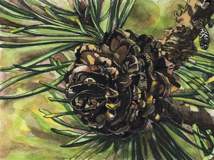 Drawing titled "PINE CONE IV" by Nives Palmić, Original Artwork, Ink