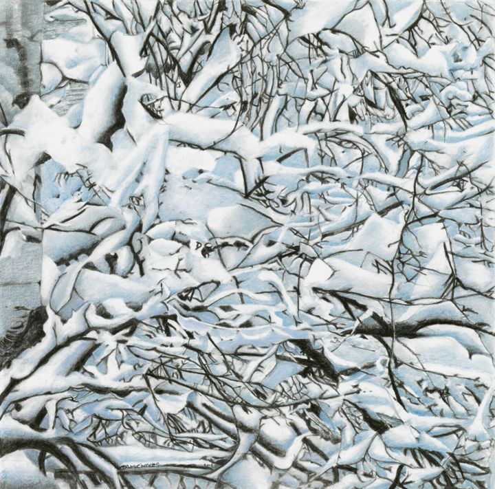 Tekening getiteld "SNOWY BRANCHES" door Nives Palmić, Origineel Kunstwerk, Houtskool