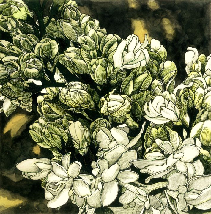 Drawing titled "WHITE LILAC" by Nives Palmić, Original Artwork, Ink