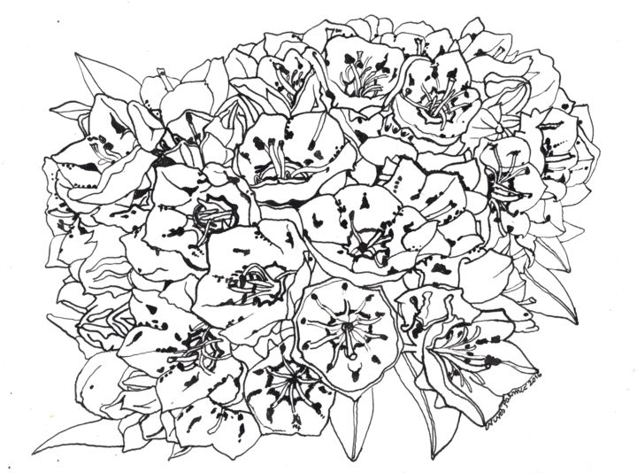 Desenho intitulada "MOUNTAIN LAUREL Flo…" por Nives Palmić, Obras de arte originais, Tinta
