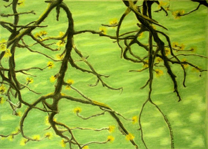 Drawing titled "SPRING BRANCHES UND…" by Nives Palmić, Original Artwork, Pastel