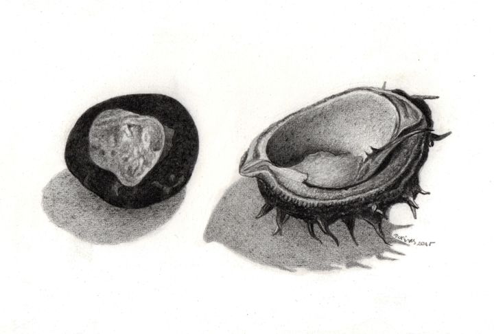 CHESTNUT (Nives Palmić)