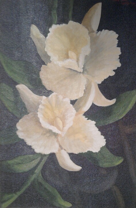 Pintura intitulada "orquidea.jpg ost" por Nívia Muniz, Obras de arte originais, Óleo
