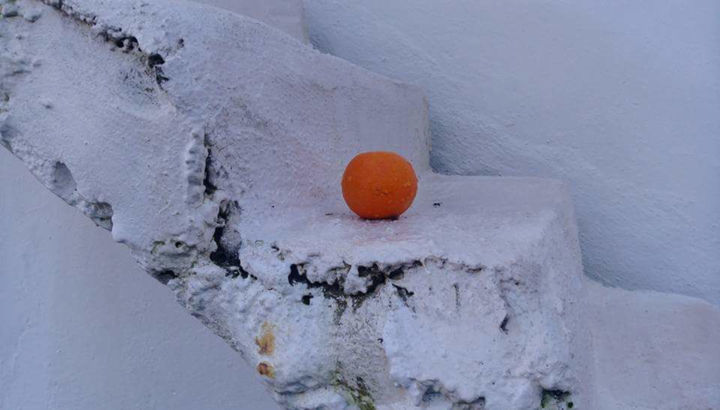 "BEYAZ" başlıklı Fotoğraf Neşe tarafından, Orijinal sanat,