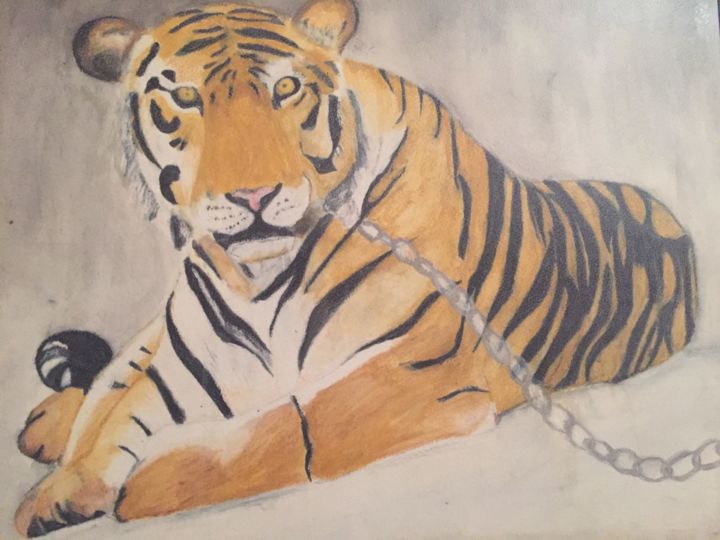 Painting titled "TIGER" by Nilavan Baskaran, Original Artwork, Watercolor