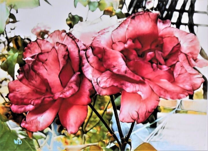 Digital Arts titled "deux-roses" by W-Dagrou, Original Artwork, Digital Painting