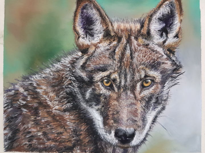 Painting titled "the stare" by Nadia Sheikh, Original Artwork, Pastel