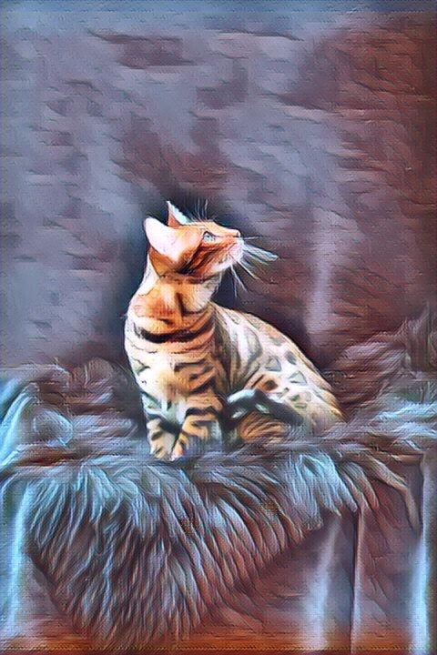 Digital Arts titled "Surealism Cat" by Nooebstro, Original Artwork, Digital Painting