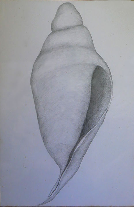 Рисунок под названием "wedding conch" - Norachai, Подлинное произведение искусства, Карандаш