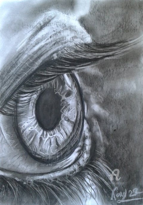 Dessin intitulée "In the eyes" par Norel, Œuvre d'art originale, Fusain