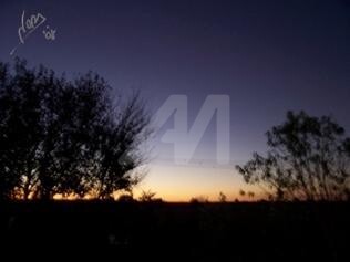 Fotografía titulada "Perfecta armonía" por Nora Netto, Obra de arte original,