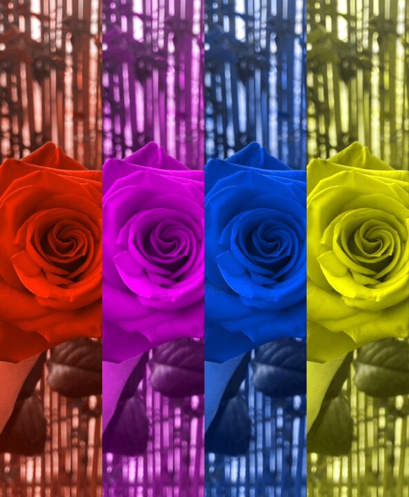 Fotografie mit dem Titel "Colorful" von Noura D.K, Original-Kunstwerk, Manipulierte Fotografie