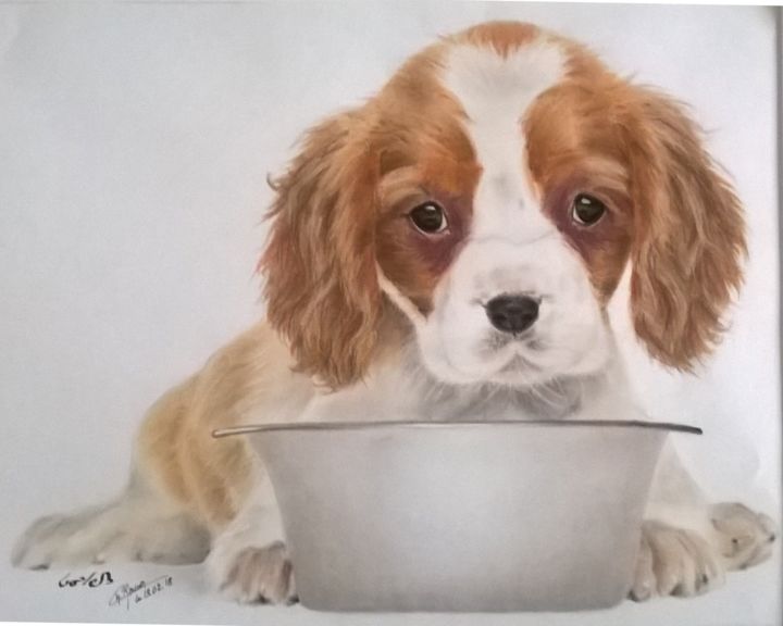 Painting titled "Chien cavalier king…" by Chantal Bacon, Original Artwork, Pastel