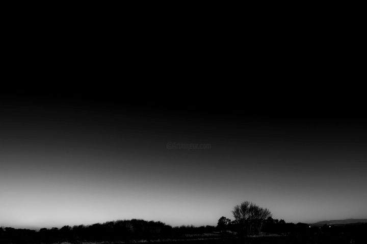 Photographie intitulée "minimalist trees IX…" par Walkingsea, Œuvre d'art originale