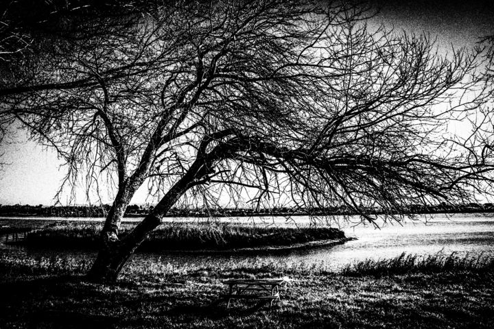 Photography titled "winter tree ..." by Walkingsea, Original Artwork