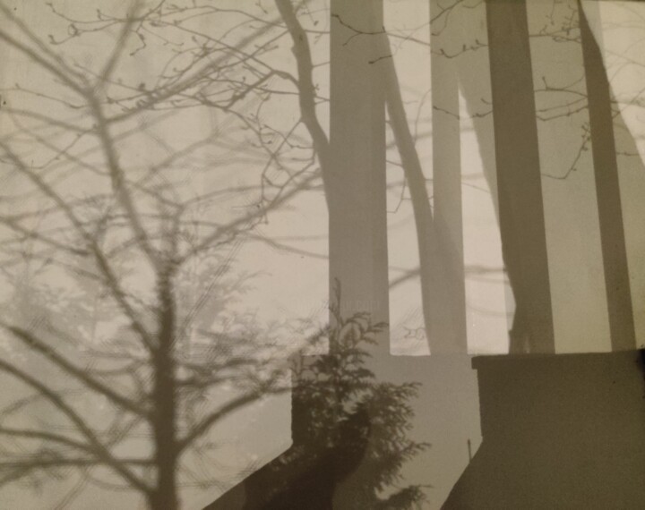Fotografia intitulada "Shadow" por O.T. Unique, Obras de arte originais, Fotografia digital