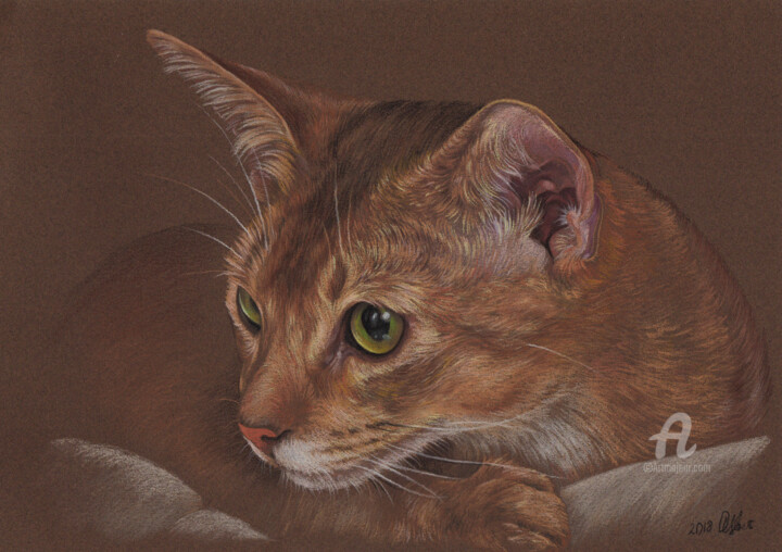 Dibujo titulada "Abyssinian cat" por Olga Tsvetkova, Obra de arte original, Pastel