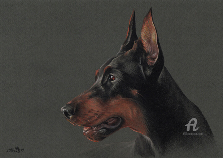 Drawing titled "Dobermann" by Olga Tsvetkova, Original Artwork, Pastel