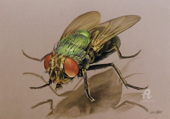 Dibujo titulada "Green fly" por Olga Tsvetkova, Obra de arte original, Pastel