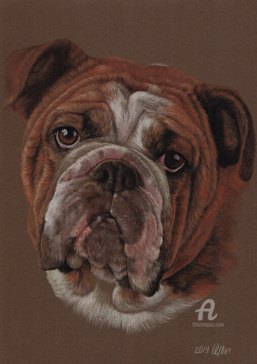 제목이 "English Bulldog"인 그림 Olga Tsvetkova로, 원작, 파스텔