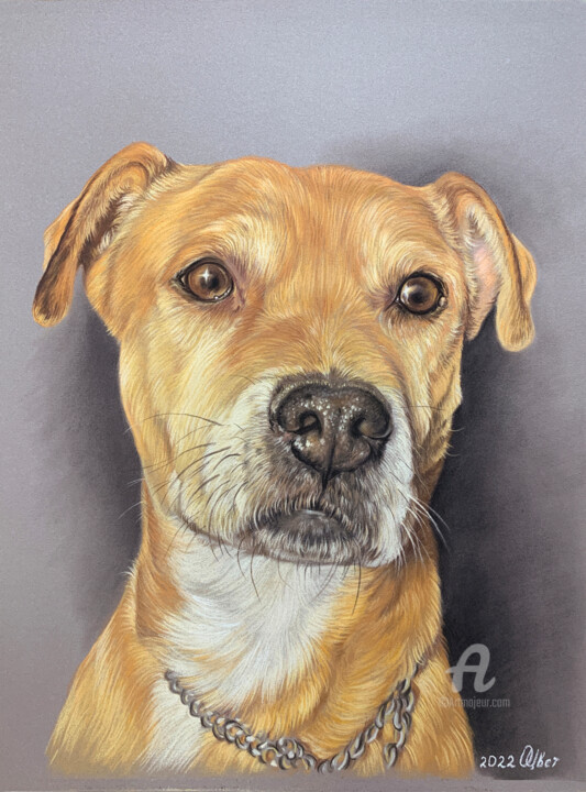 Painting titled "Dog of Giovanni com…" by Olga Tsvetkova, Original Artwork, Pastel