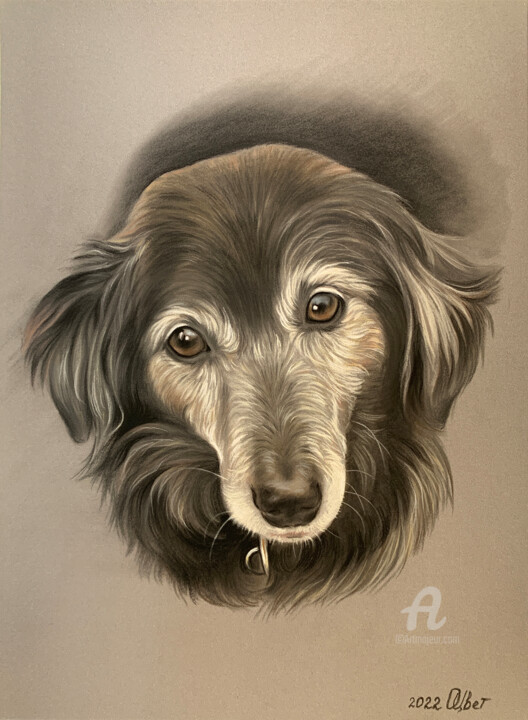 Malerei mit dem Titel "Commission Dog Pain…" von Olga Tsvetkova, Original-Kunstwerk, Pastell