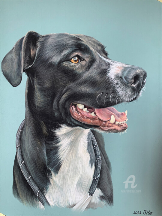 Zeichnungen mit dem Titel "Pastel dog portrait" von Olga Tsvetkova, Original-Kunstwerk, Pastell