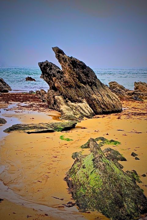 Fotografia intitolato "beach of stones" da Anthony Hochet, Opera d'arte originale