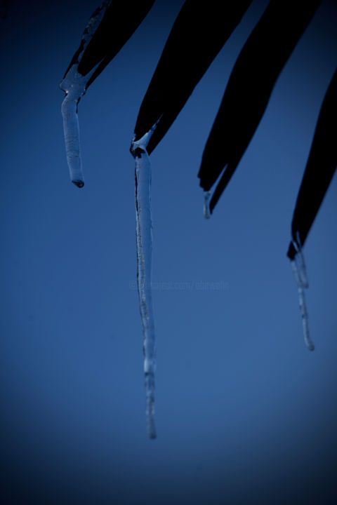 Photographie intitulée "winter 2" par Anthony Hochet, Œuvre d'art originale, Photographie numérique