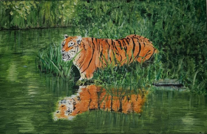 Картина под названием "Tigre" - Oceane Andres, Подлинное произведение искусства, Акрил
