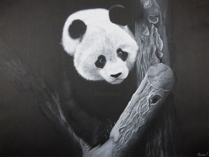 Disegno intitolato "Panda" da Océane Rousseeuw, Opera d'arte originale, Pastello