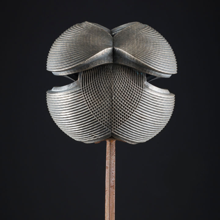 Escultura titulada "organic silver - CA…" por Octoedro Art, Obra de arte original, Modelado 3D