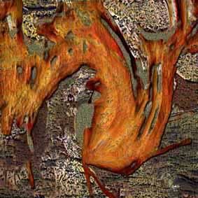 Painting titled "racine carrée" by Maurice Odic, Original Artwork