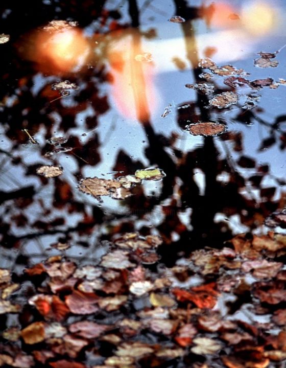 "000006.jpg" başlıklı Fotoğraf Odile tarafından, Orijinal sanat