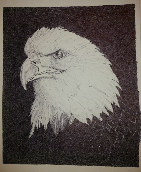 Drawing titled "Aigle" by Odile-L, Original Artwork, Other