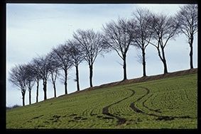 Photographie intitulée "signeuse" par Oeildepierre, Œuvre d'art originale