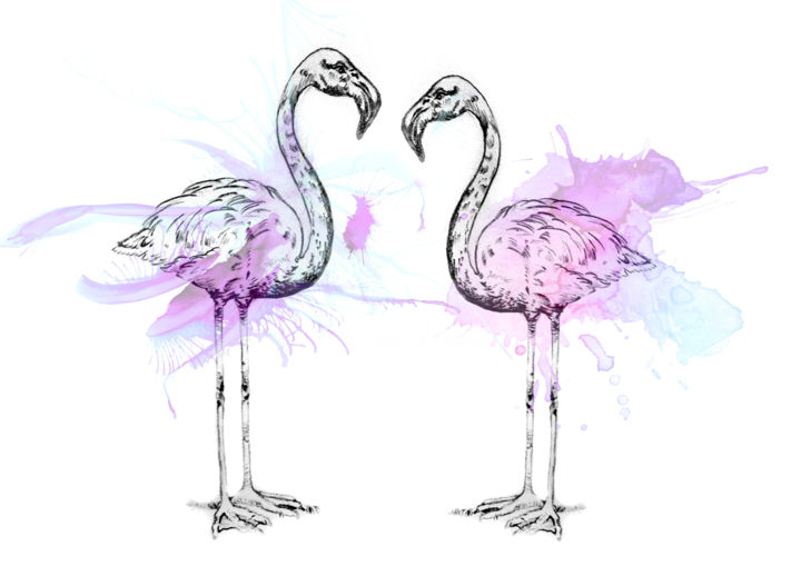 Drawing titled "Фламинго.jpg" by Oksana Golubeva, Original Artwork, Pencil