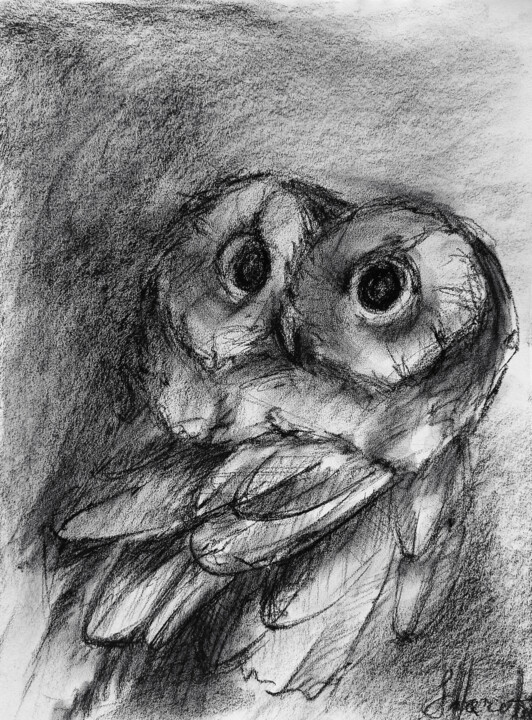 Рисунок под названием "Charcoal tawny owl…" - Oksana Shkrebets, Подлинное произведение искусства, Древесный уголь