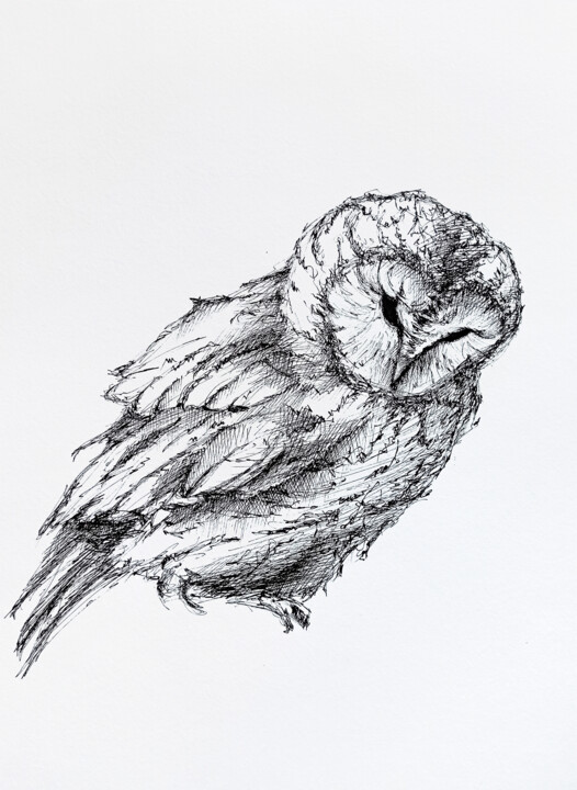 Drawing titled "Ink owl #1" by Oksana Shkrebets, Original Artwork, Ink