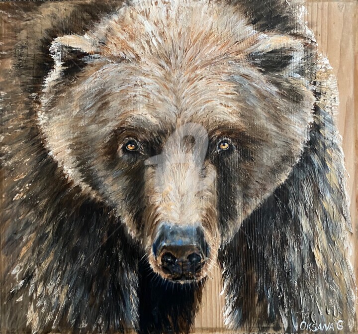 Painting titled "Bär" by Oksana Grossenbacher, Original Artwork, Oil