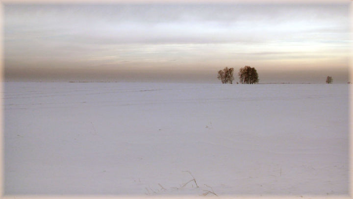 Photography titled "Winter silence.jpg" by Oleg Abaimov, Original Artwork