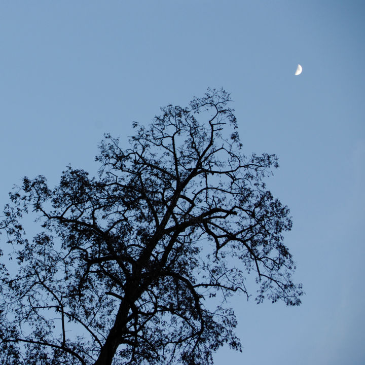 Photographie intitulée "Tree and moon" par Oleg Malov, Œuvre d'art originale